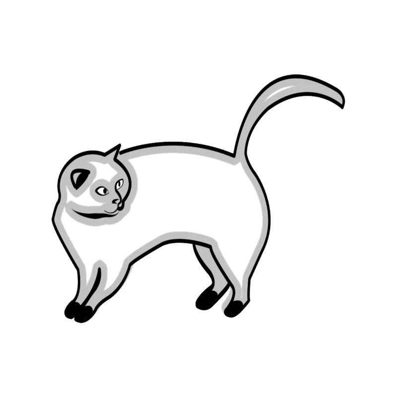 chat