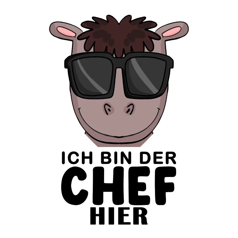 Cool Pferd Chef Spruch