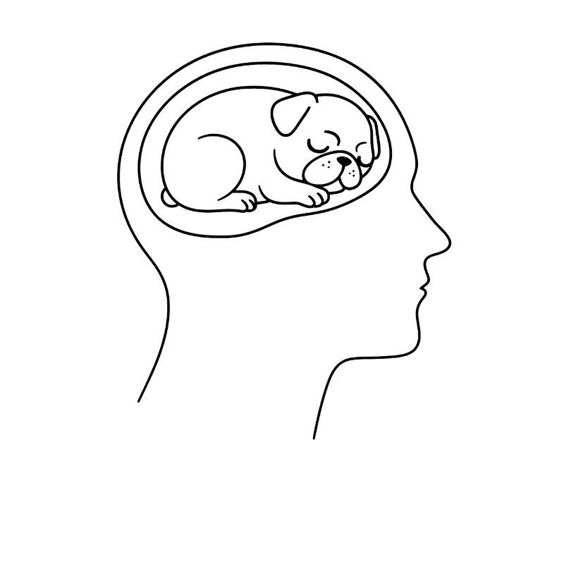 Droll Pug Head Thoughts Dog Owners
