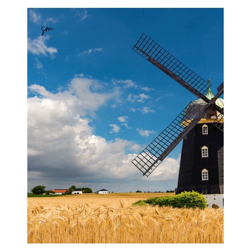 Mill among golden fields