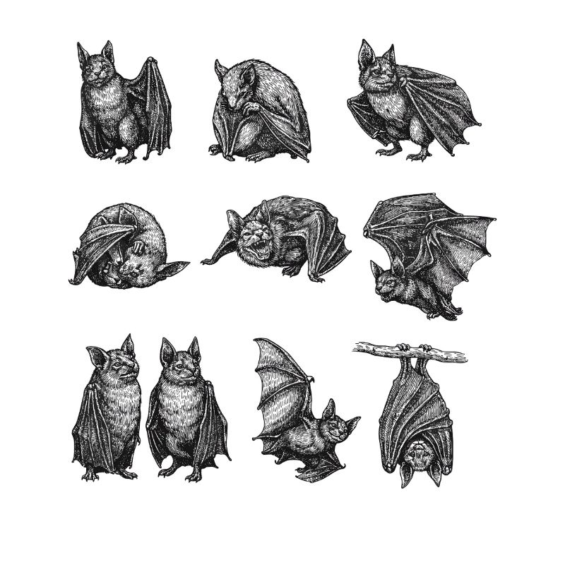 Night Bat Silhouettes Pattern