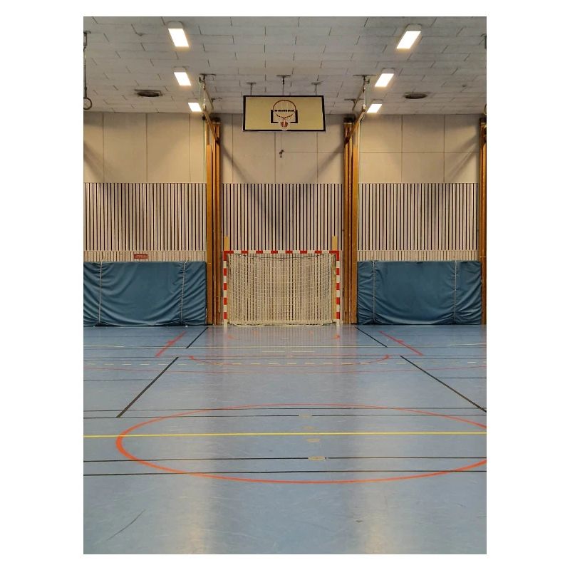 Les lignées de Gymhallen