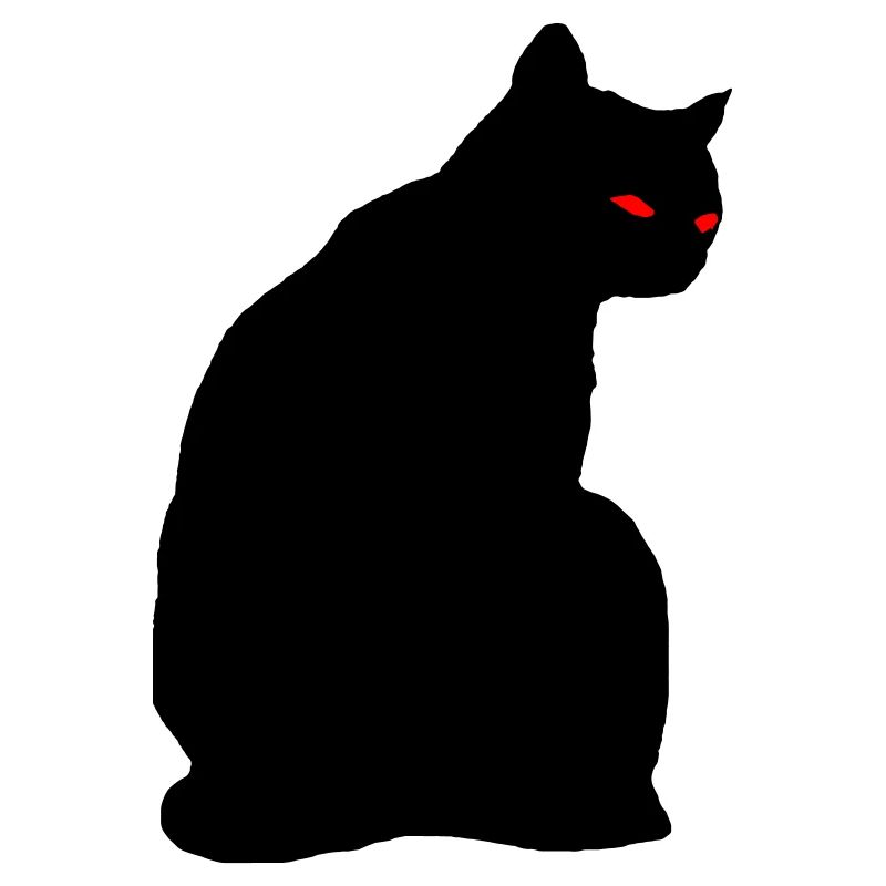 Chat noir