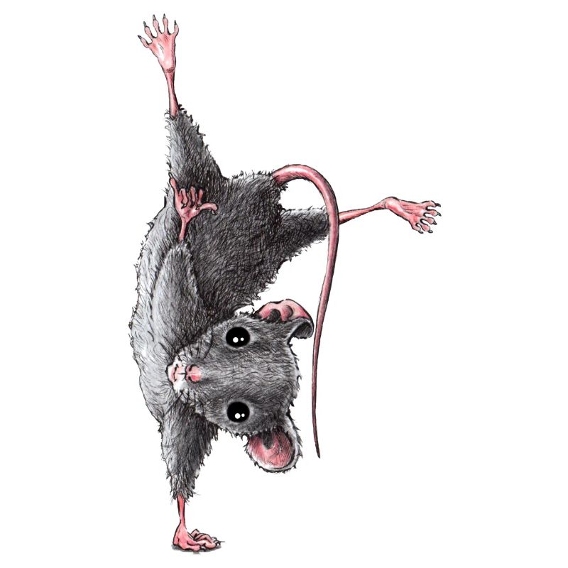 Mouse