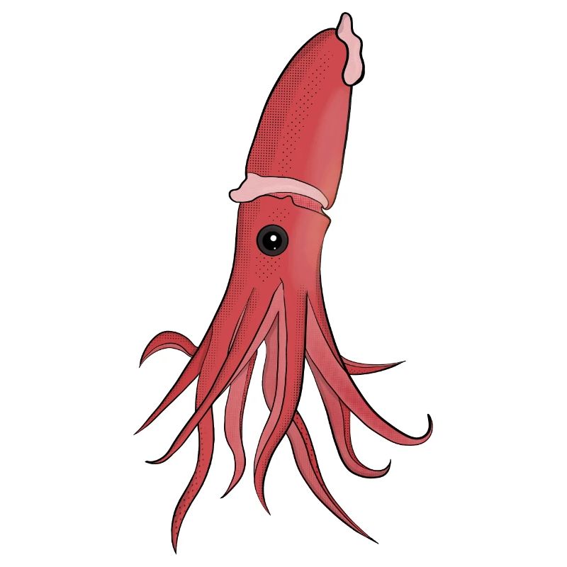 Meerestiere: Ein wunderschöner Tintenfisch