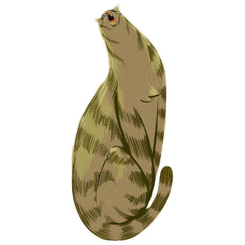 Olive Mou