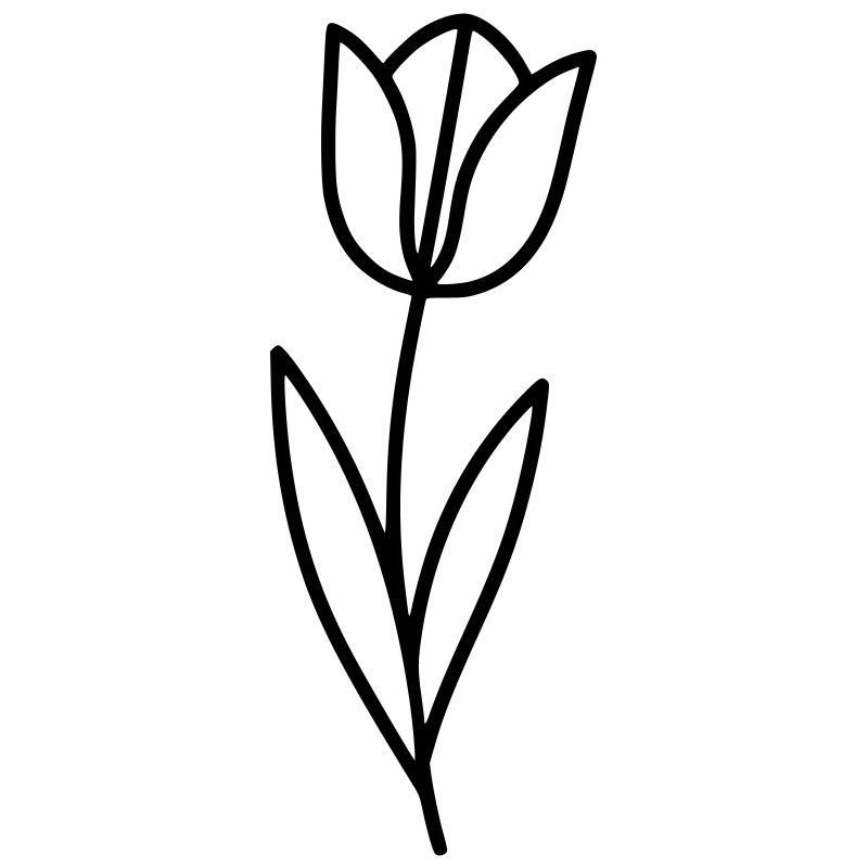 Aperçu printanier des fleurs de tulipe