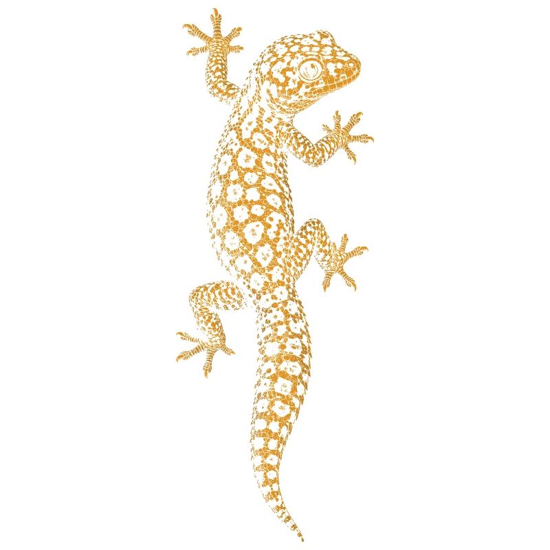 leopard gecko