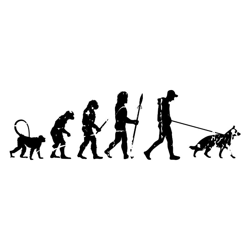 Evolution du berger allemand