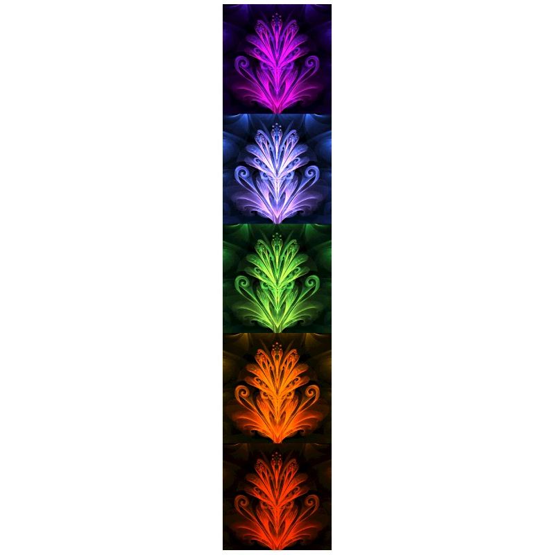 Nightflower Monkeyface
