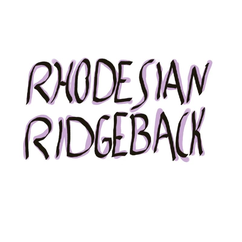 Rhodesian Ridgeback SchriftzugDesign