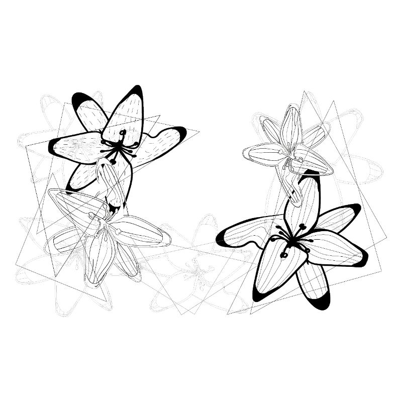 Lily Lines Geometry