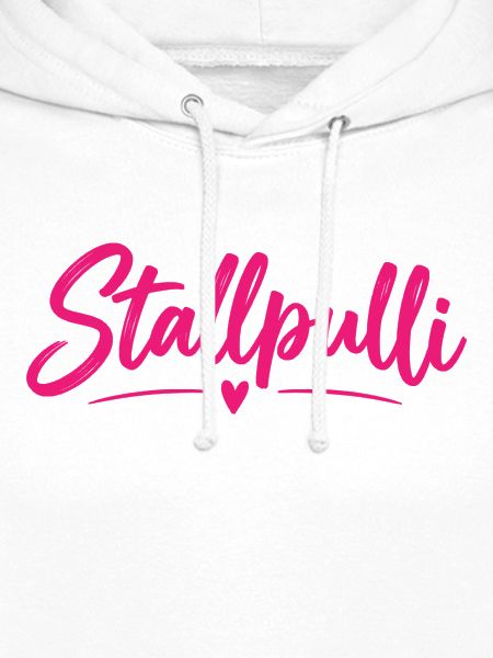 Stallpulli - Pferd - Reiterin - Stall - Pullover
