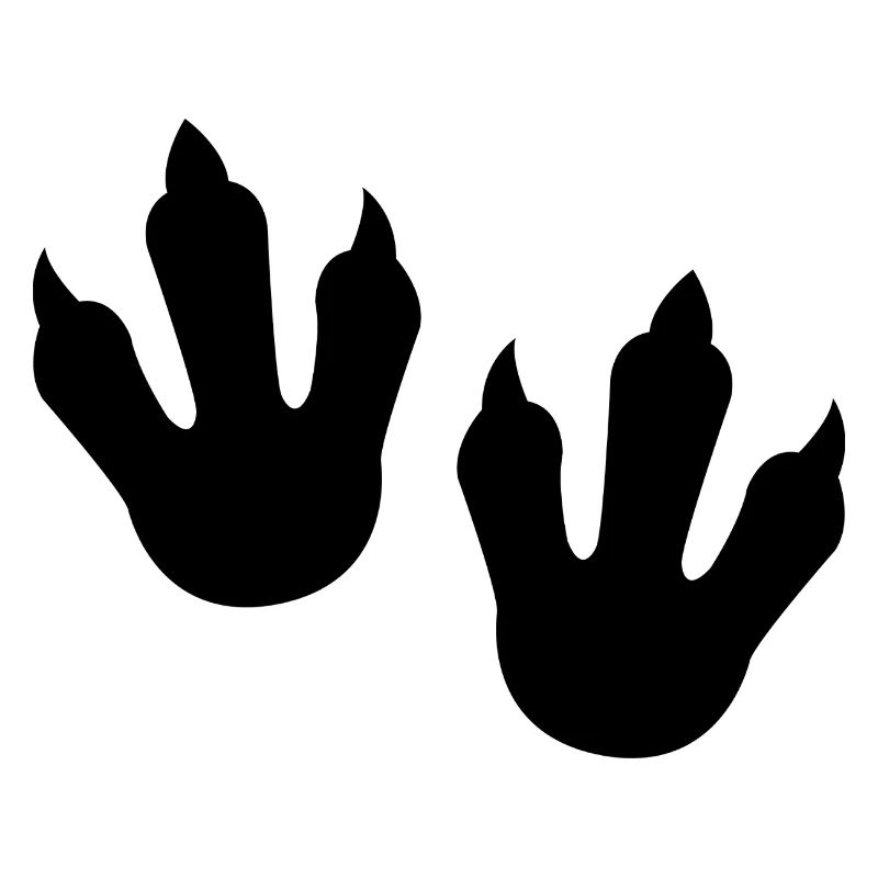 Dinosaur Footprints