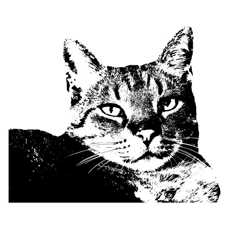 Chat Chat Chat Chat Chemise Cadeau