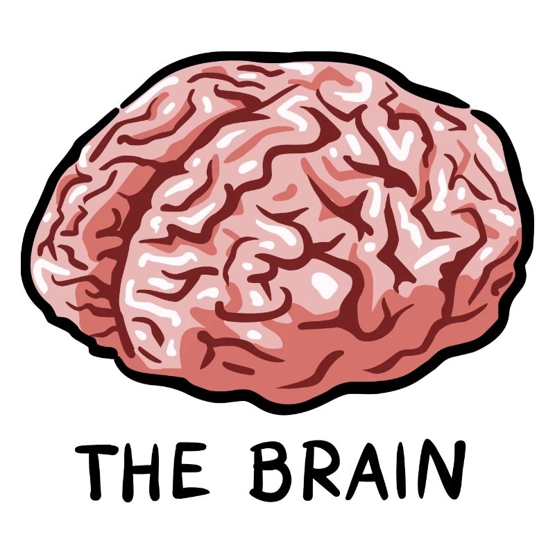 THE BRAIN