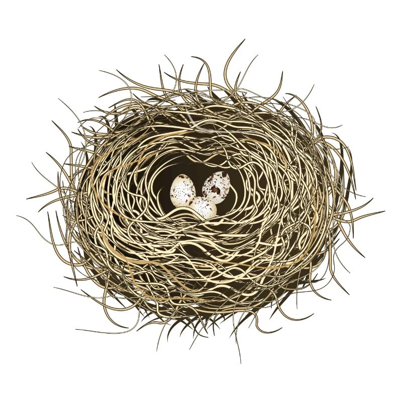 Bird's Nest or Easter Basket with Three Bird Eggs