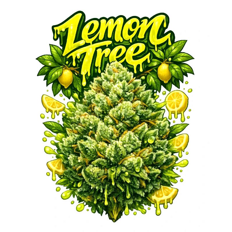 Lemon Tree Graffiti Art Print