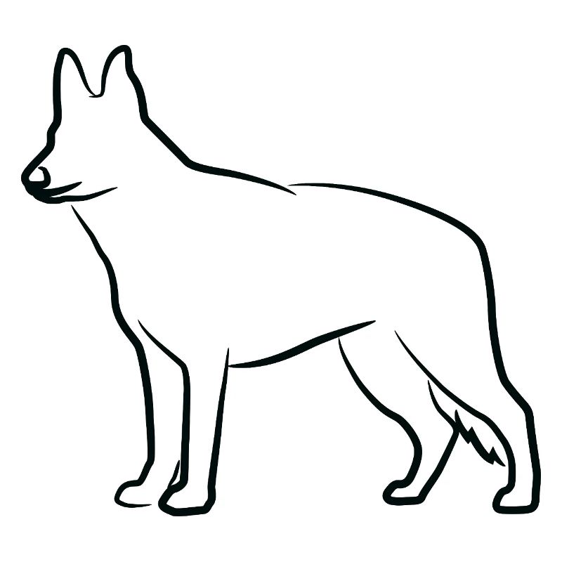 German Shepherd Sketch