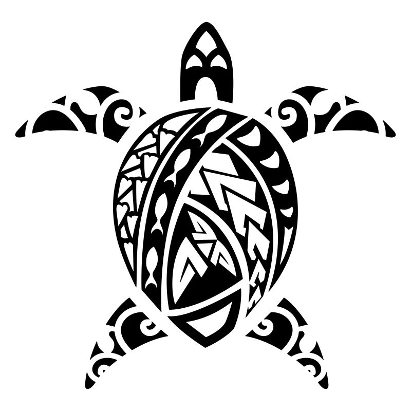 maori turtle