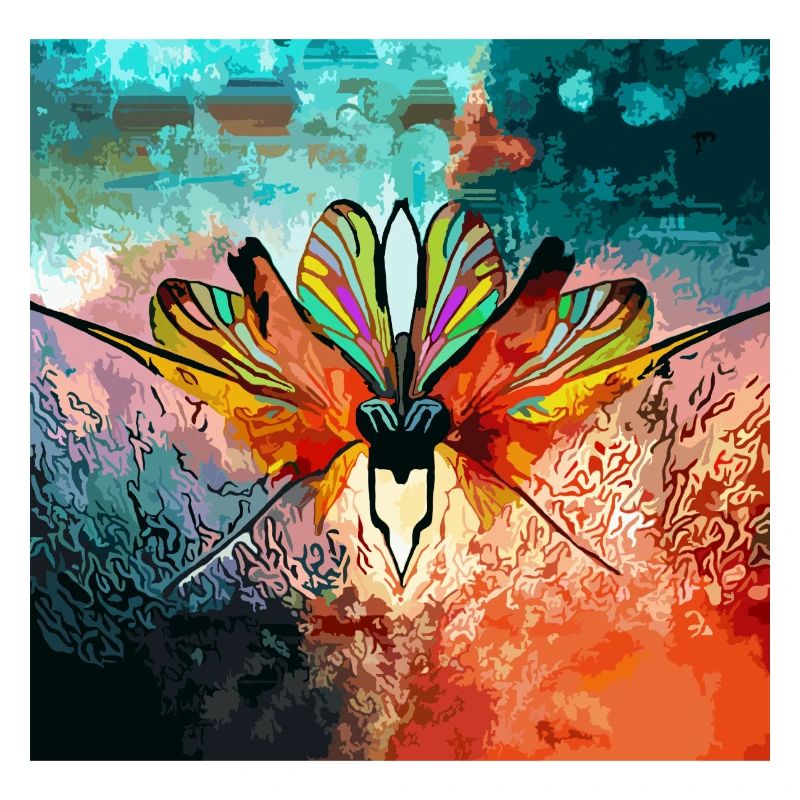 Rêve de papillon coloré