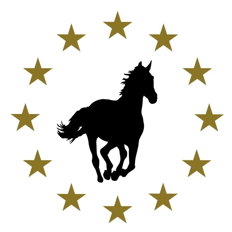 Pferd & Sternen