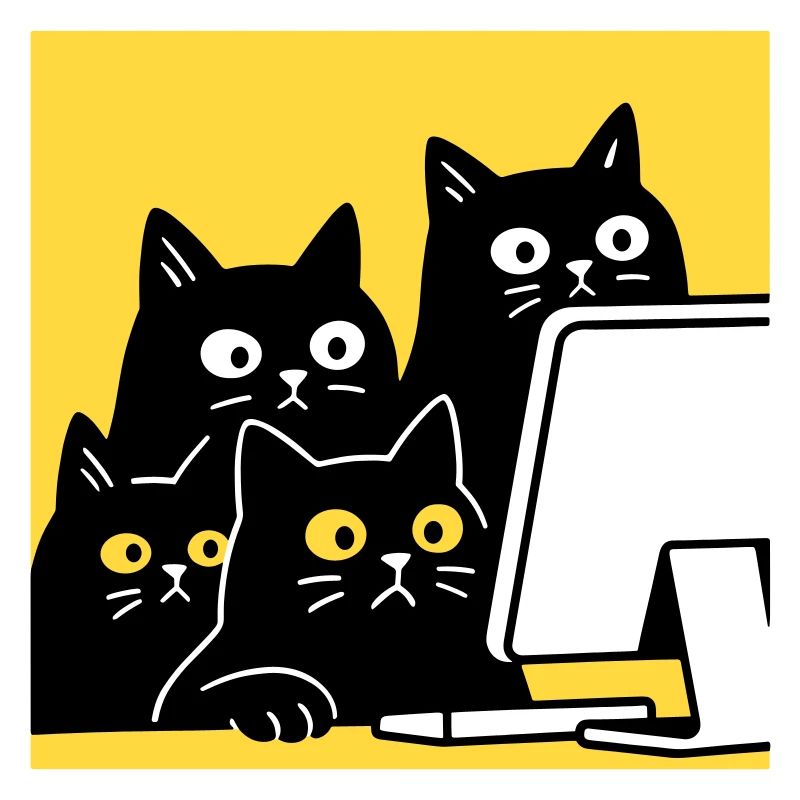 Chats regardant Catcontent