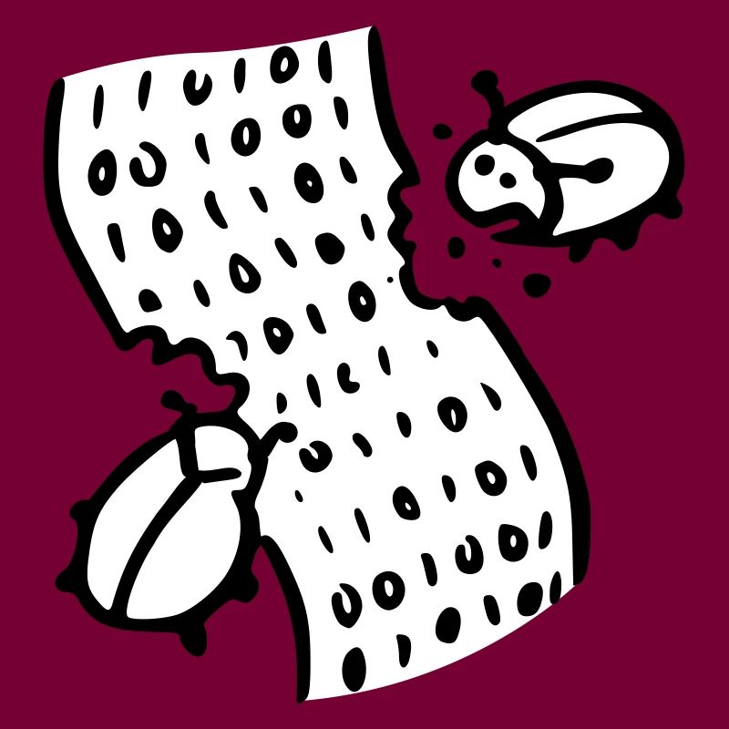 code bugs software