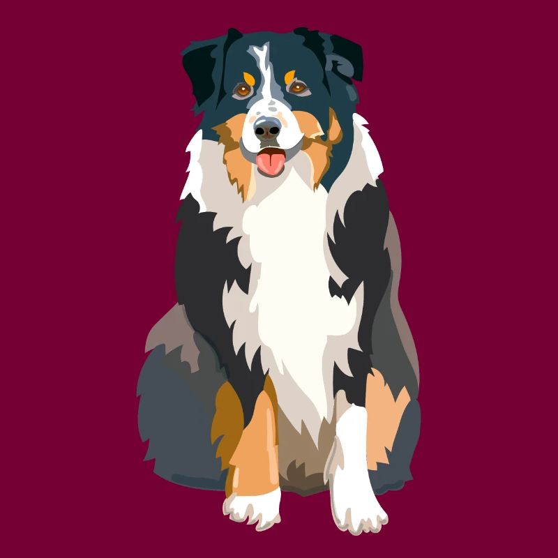 Australischer Schäferhund