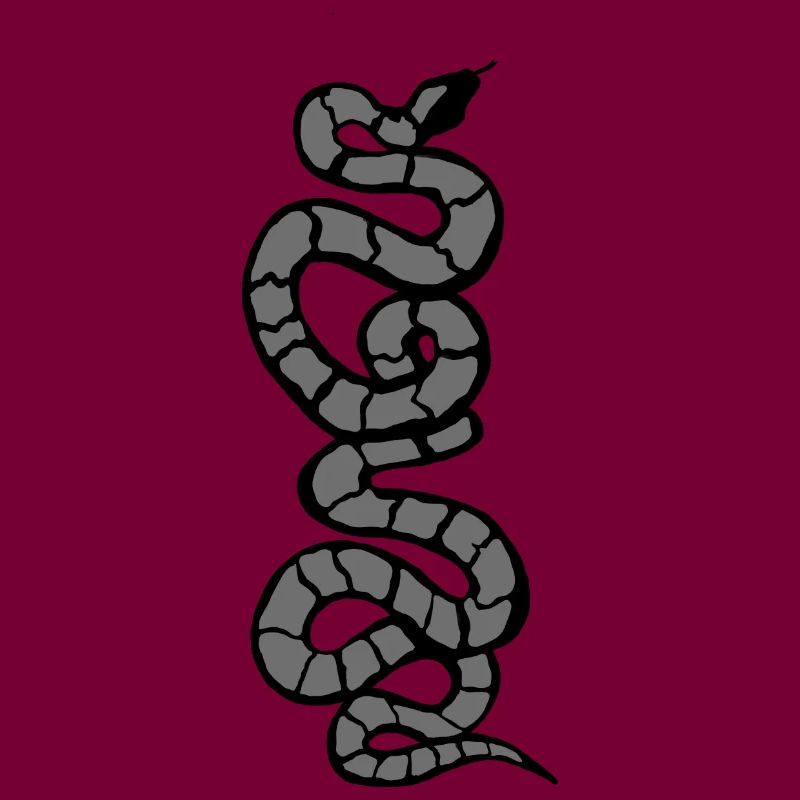 Schlange Python grau