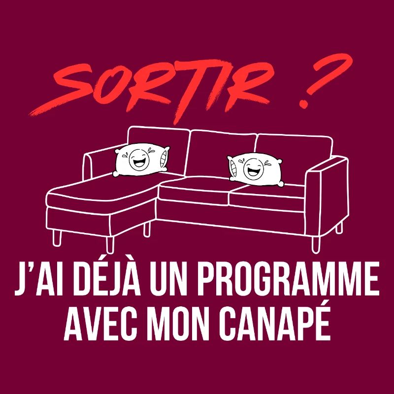 Ich habe bereits ein Programm mit meinem Sofa