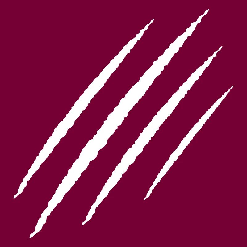 scratch claw wound icon
