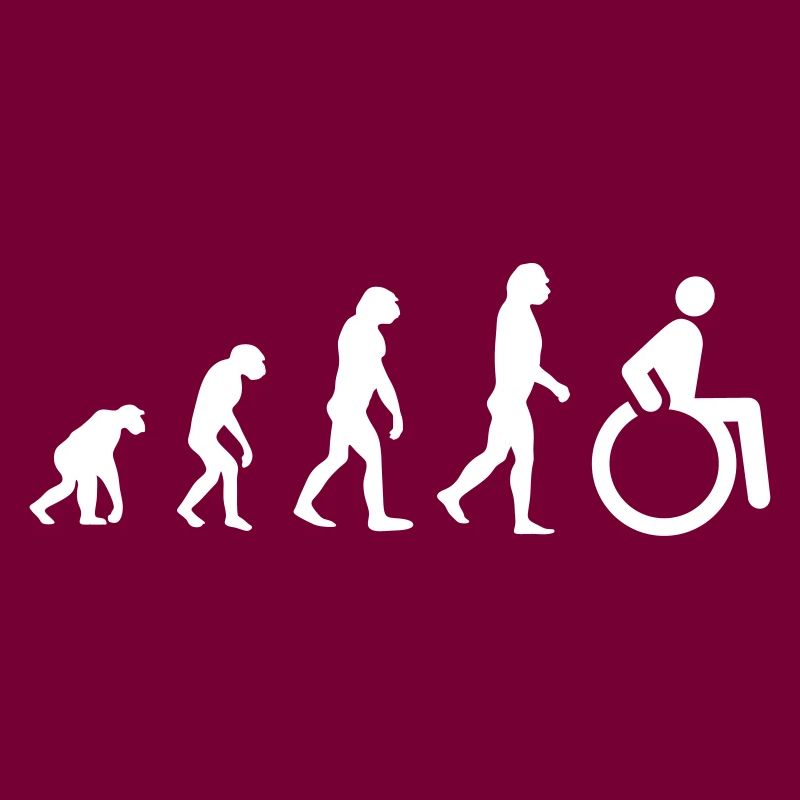 Evolution Rollstuhl