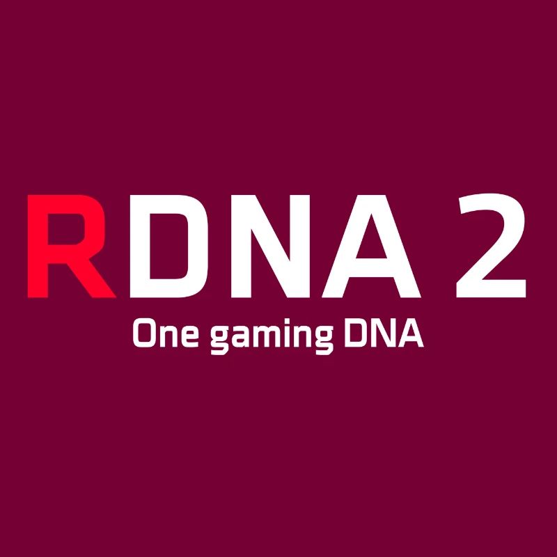 RDNA 2 One Gaming DNA custom design
