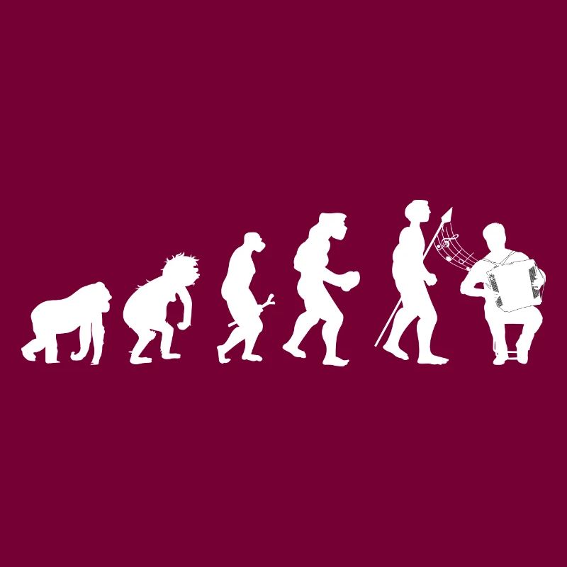 Accordéon evolution