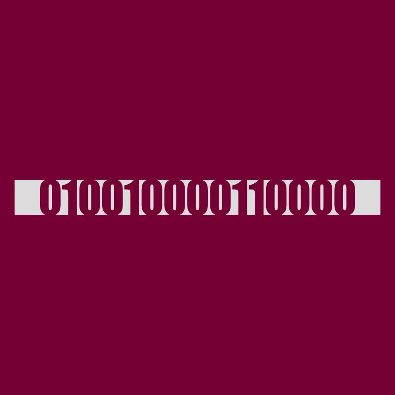 Langage de programme de code binaire