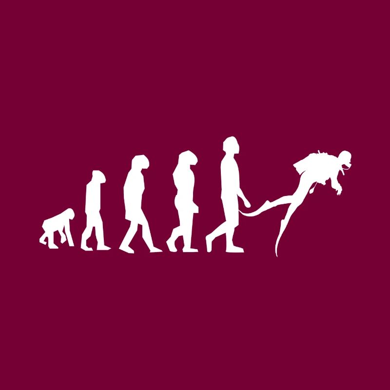 évolution plongée