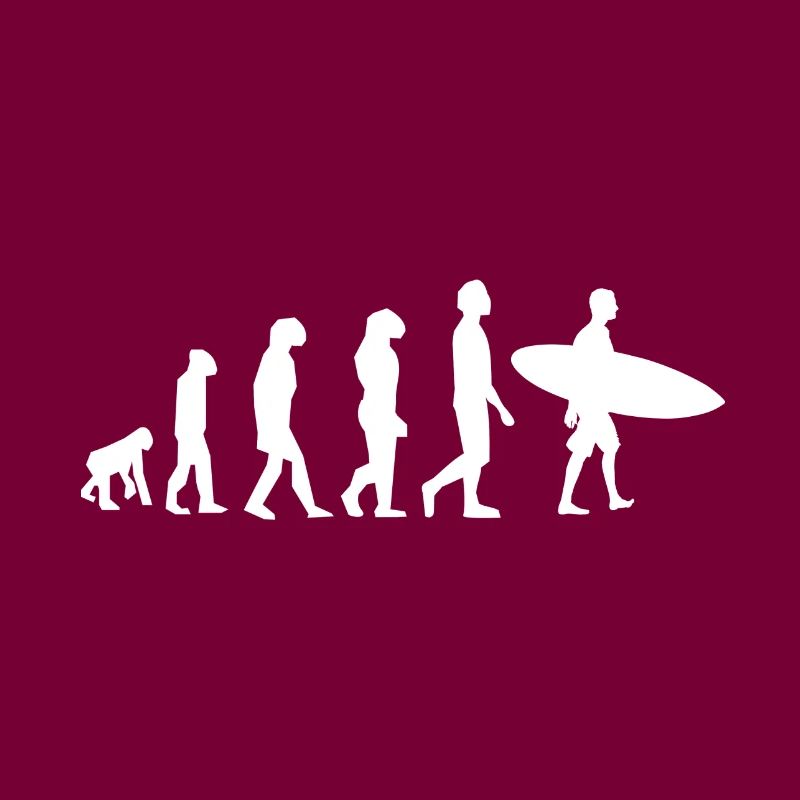 ÉVOLUTION SURF