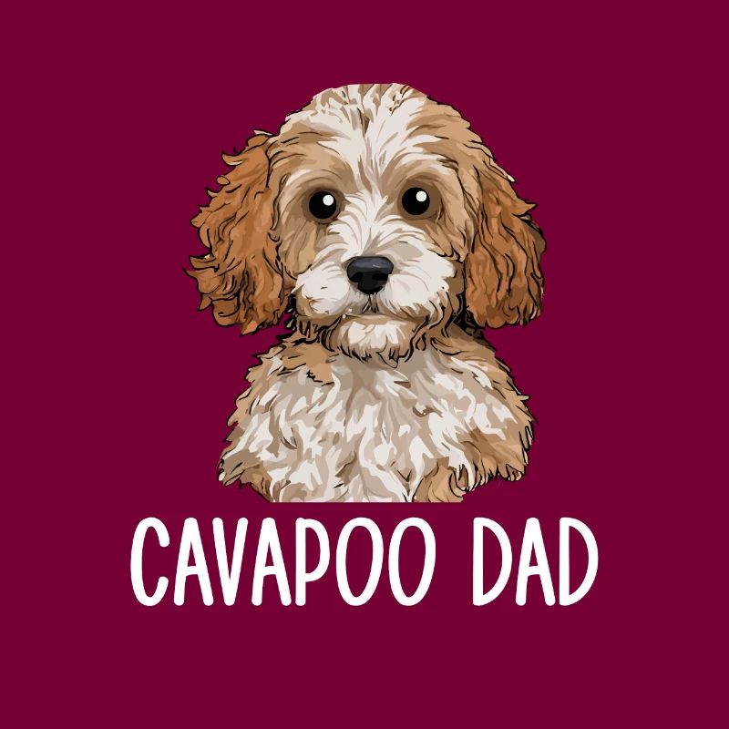 Cavapoo Dad, Cavapoo