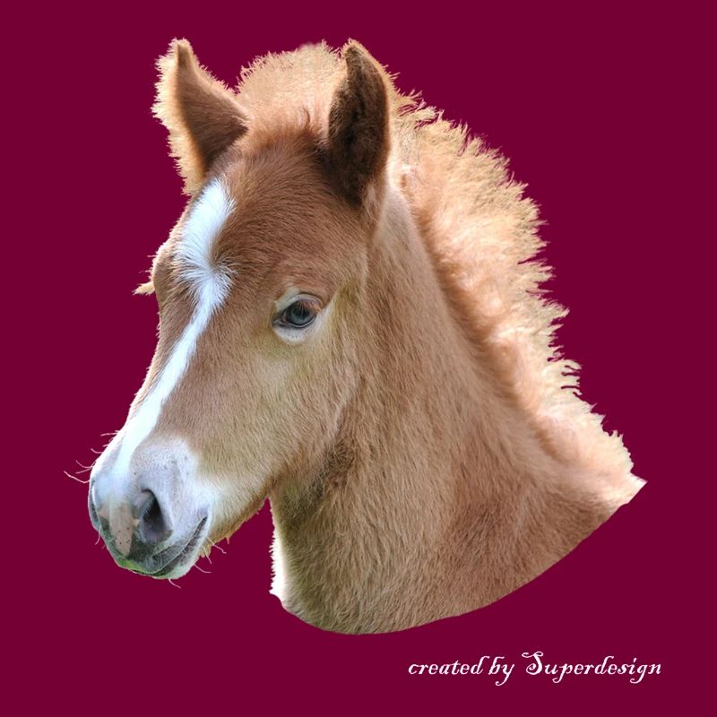 Pferd