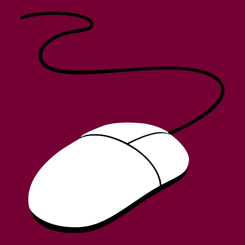computer mouse
