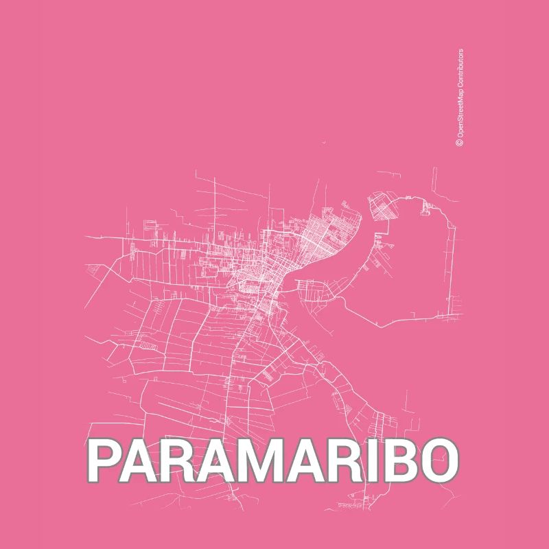 Plan de la ville de Paramaribo et rues