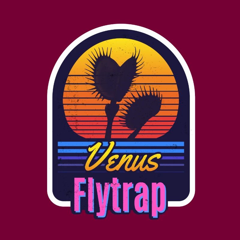 Venus flytrap carnivore plant drawing