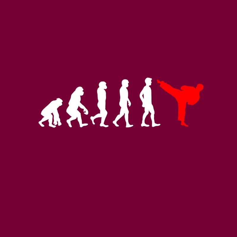 Karate Entwicklung - Evolution eines Karatekämpfer