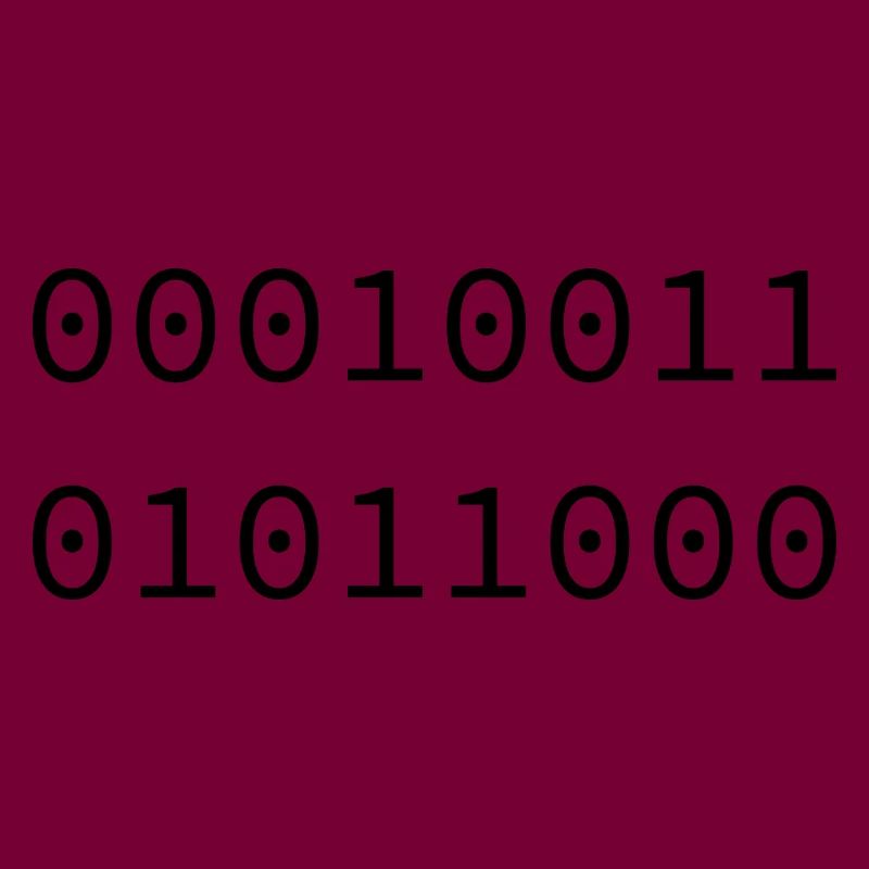 1988 Binary