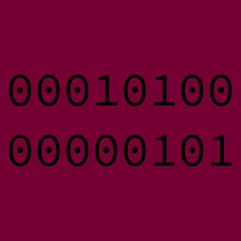 2005 Binary