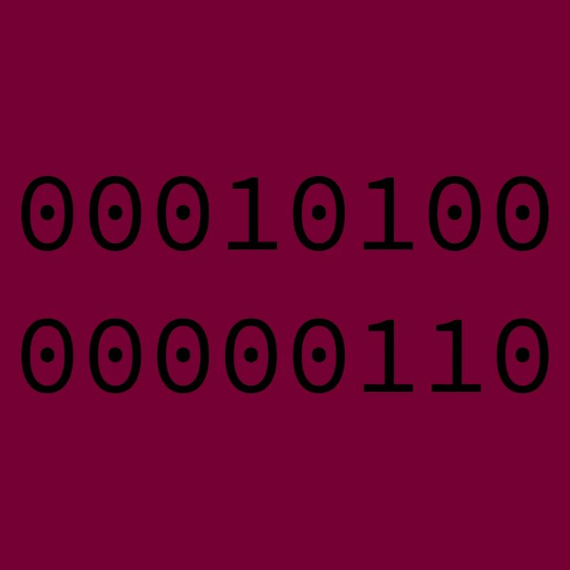 2006 Binary
