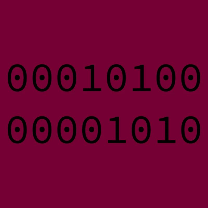 2010 Binary