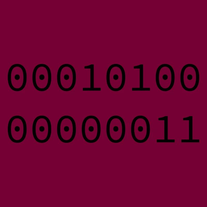 2003 Binary