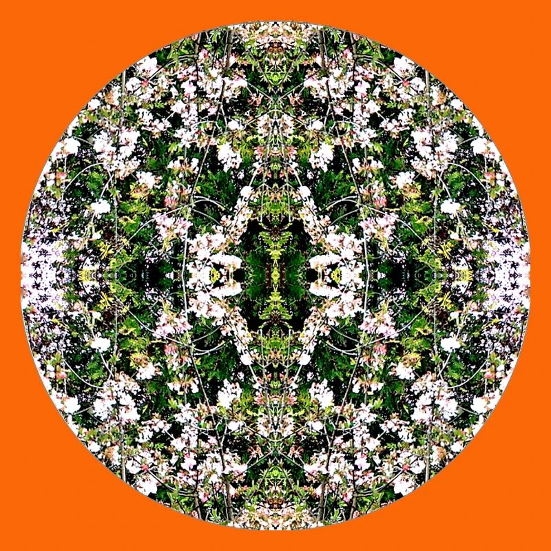 Source du Mandala de la Nature à Nuremberg